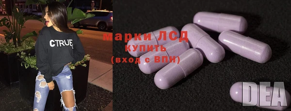 spice Аркадак