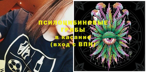 spice Армянск