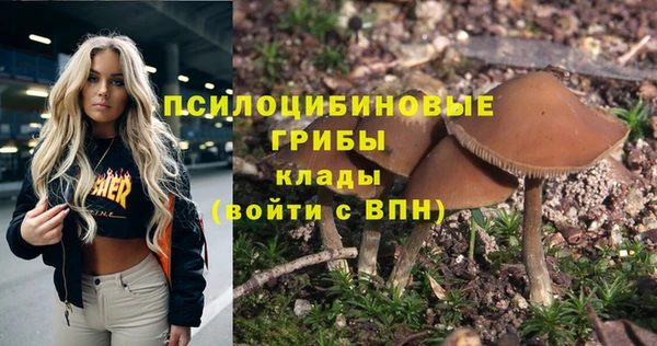 spice Армянск
