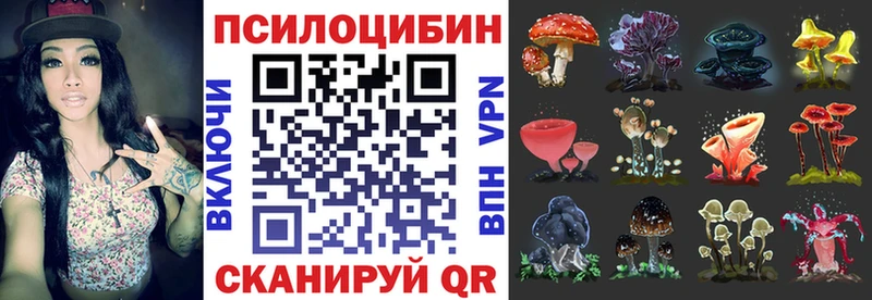 Купить  Яхрома  Галлюциногенные грибы Magic Shrooms 